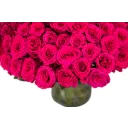 kytice růžových růží